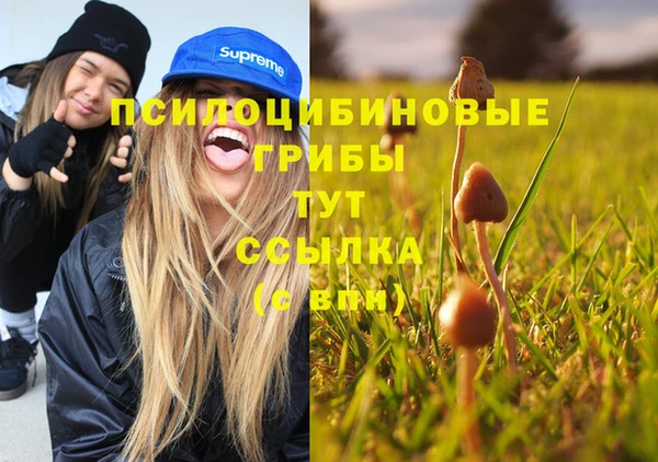 кокаин премиум Аркадак