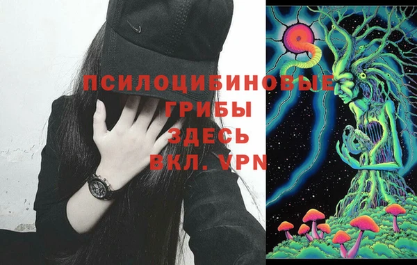 ПСИЛОЦИБИНОВЫЕ ГРИБЫ Балахна