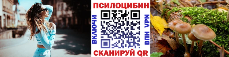 omg ссылки  Нея  Псилоцибиновые грибы прущие грибы 